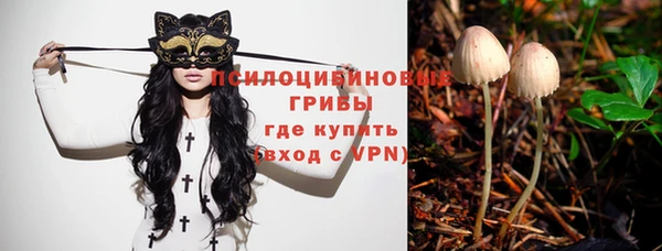 МДПВ Нея