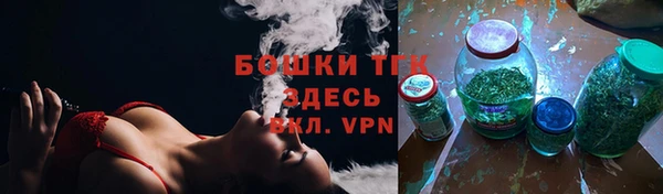МДПВ Нея