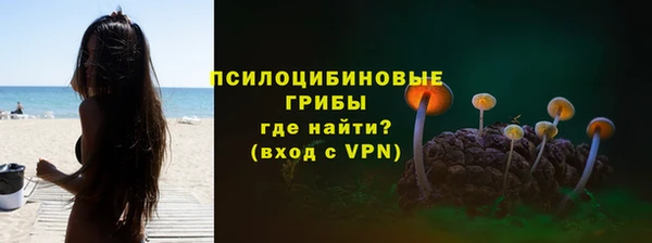 МДПВ Нея