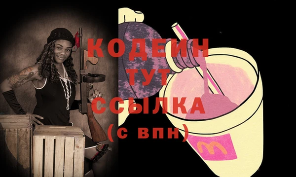МДПВ Нея